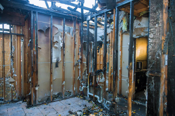 Professional Odor Removal technician working in Hampton, MN