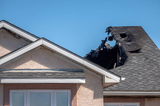 Top rated local Odor Removal specialists in Hampton, MN